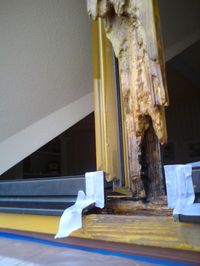 Schaden an einem Holzfenster